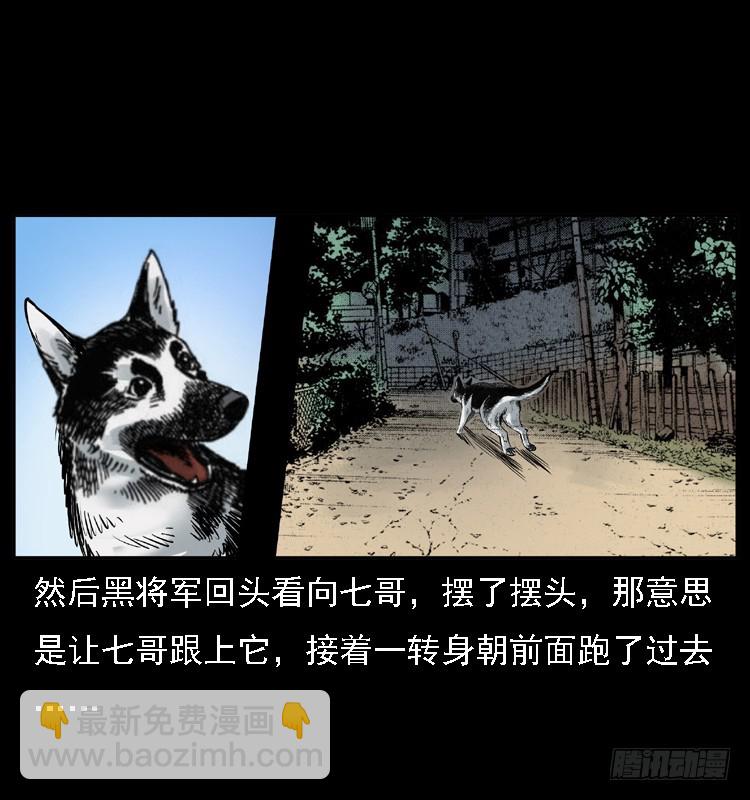 117通灵警犬56