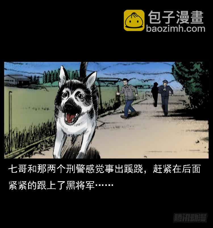 117通灵警犬57