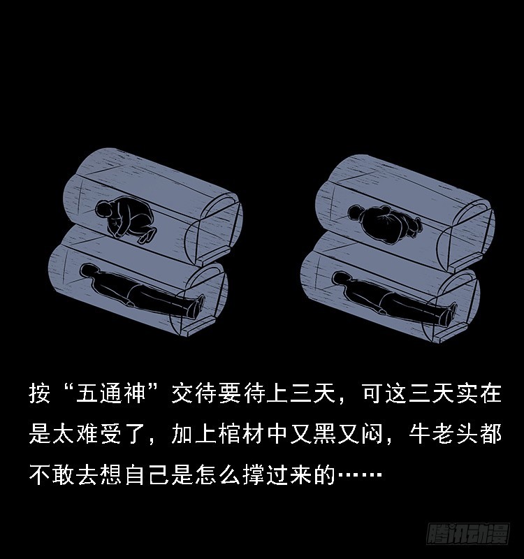 133矮骡子38