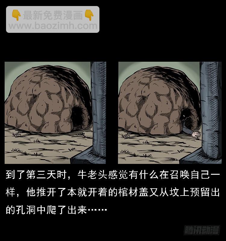 133矮骡子40