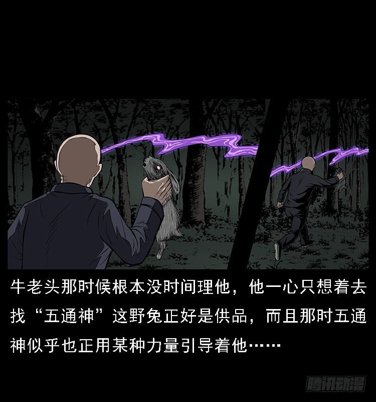133矮骡子44