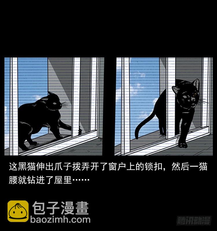 141黑猫杀人事件28