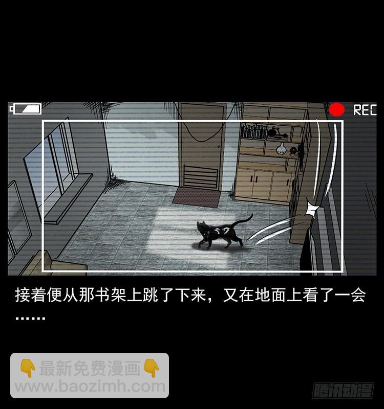 141黑猫杀人事件35