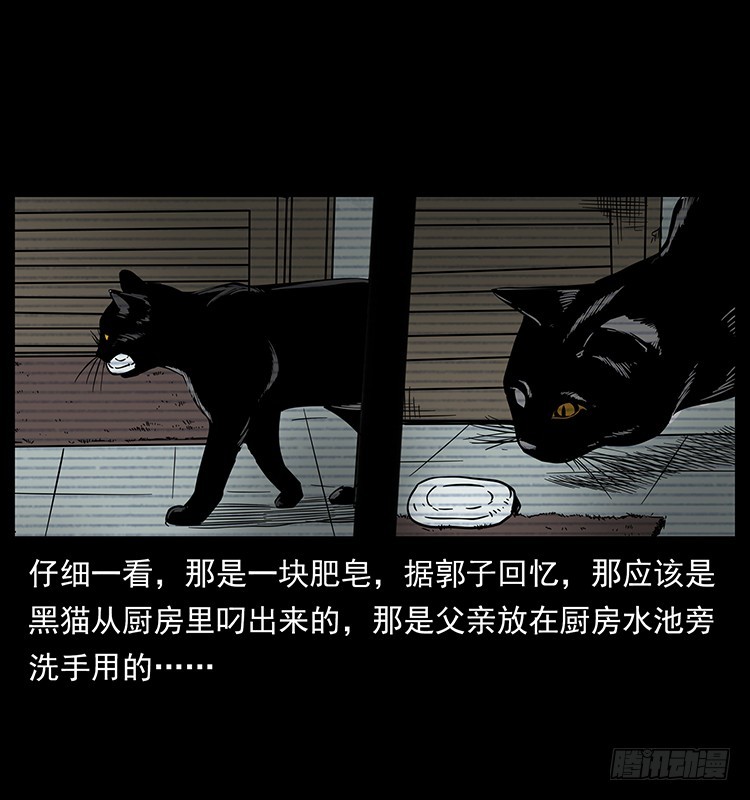 141黑猫杀人事件37