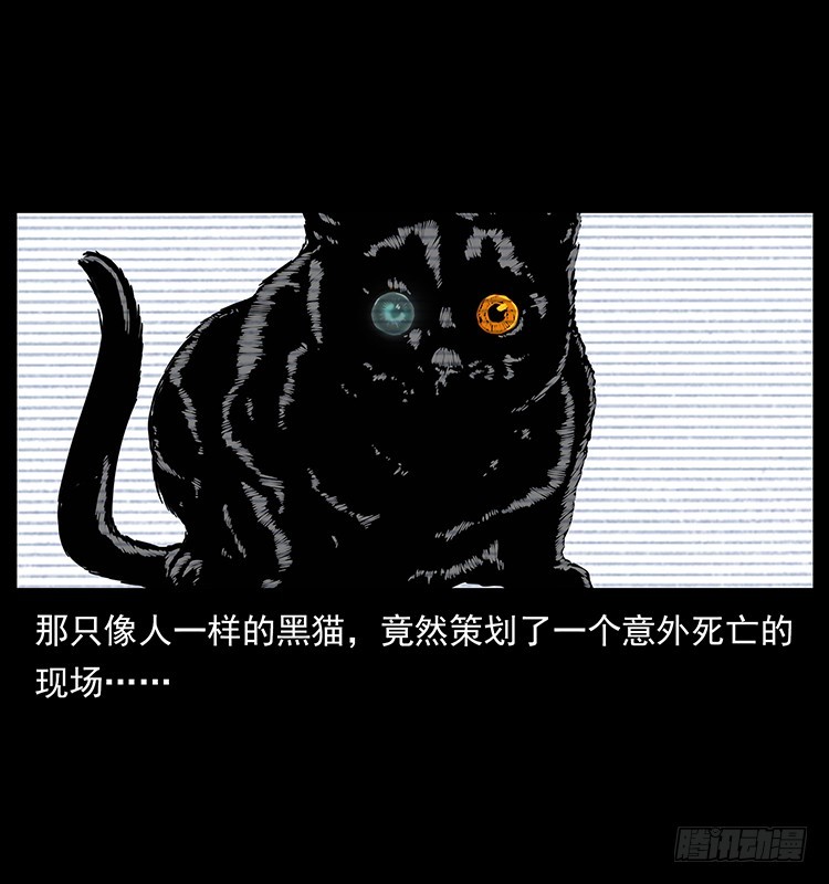 141黑猫杀人事件46
