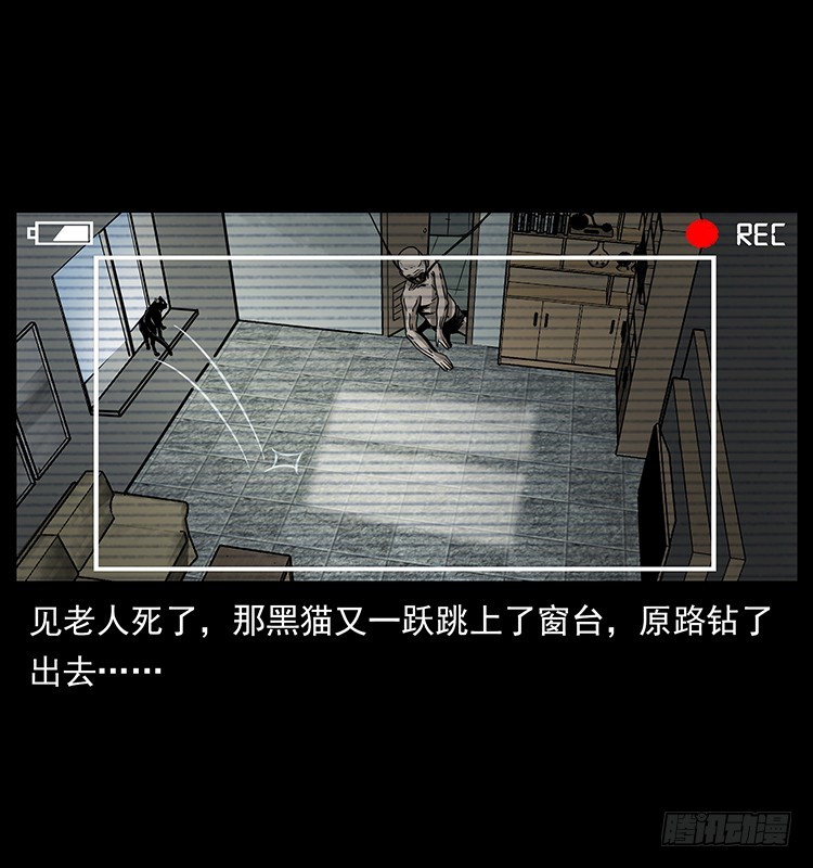 141黑猫杀人事件48