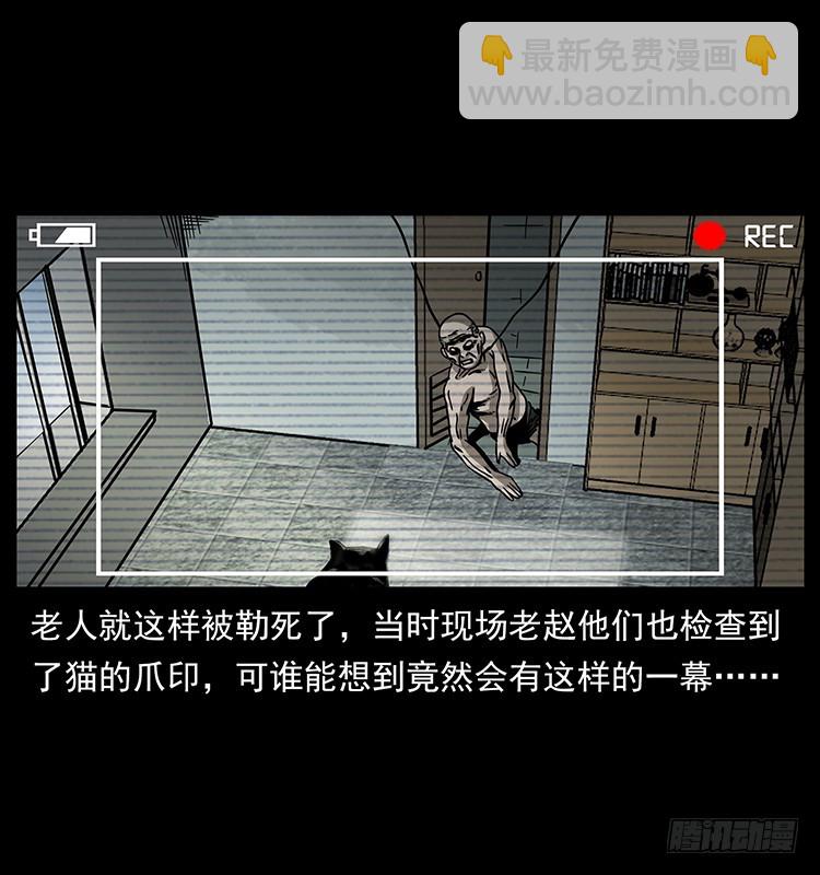 141黑猫杀人事件51