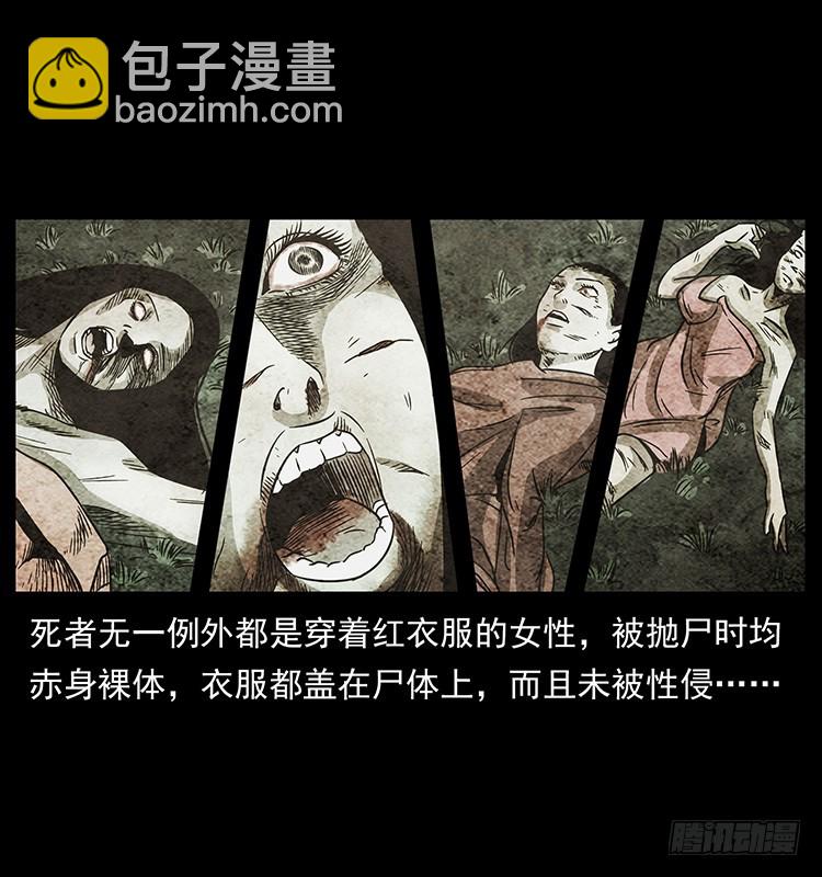 公路杀人魔29
