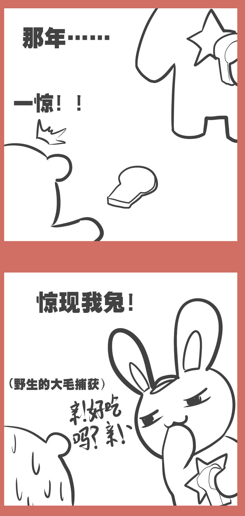 36 兔子和大毛1