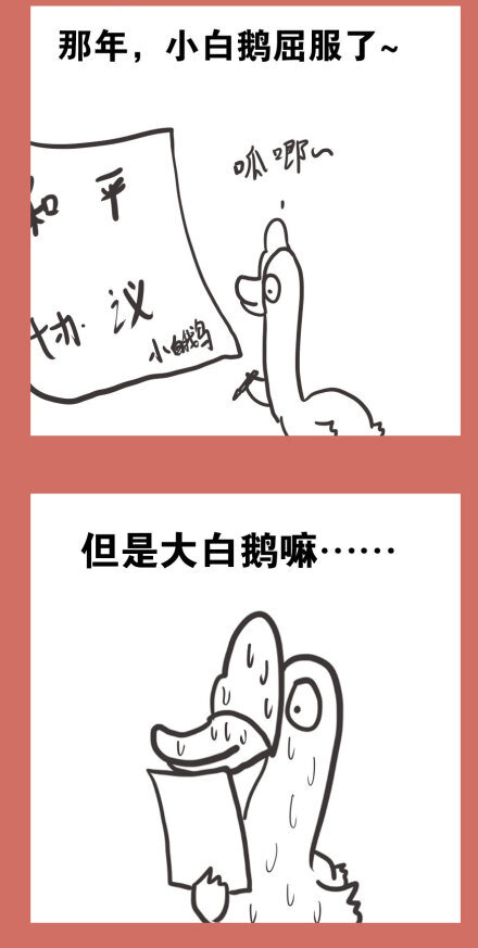 53 那年那兔耻辱日16