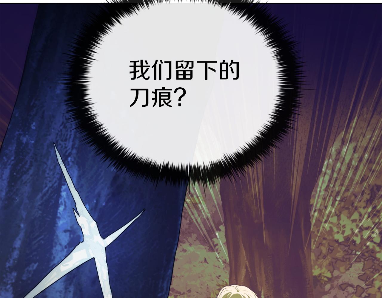 第76话 曾经的大陆22