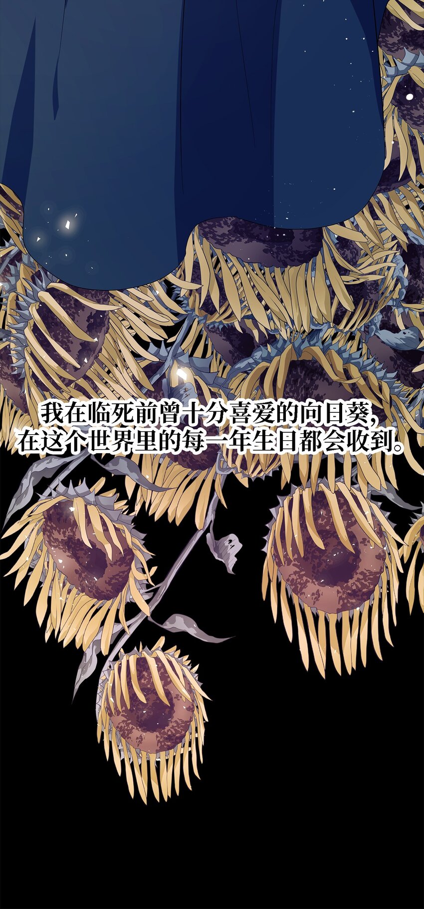 47 我喜欢你17