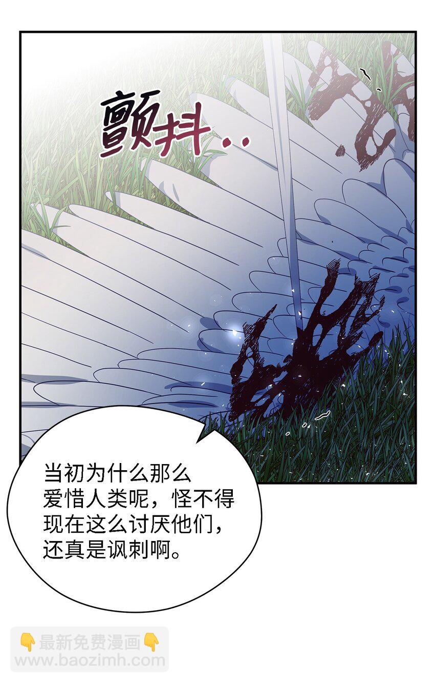 54 诅咒的真相55
