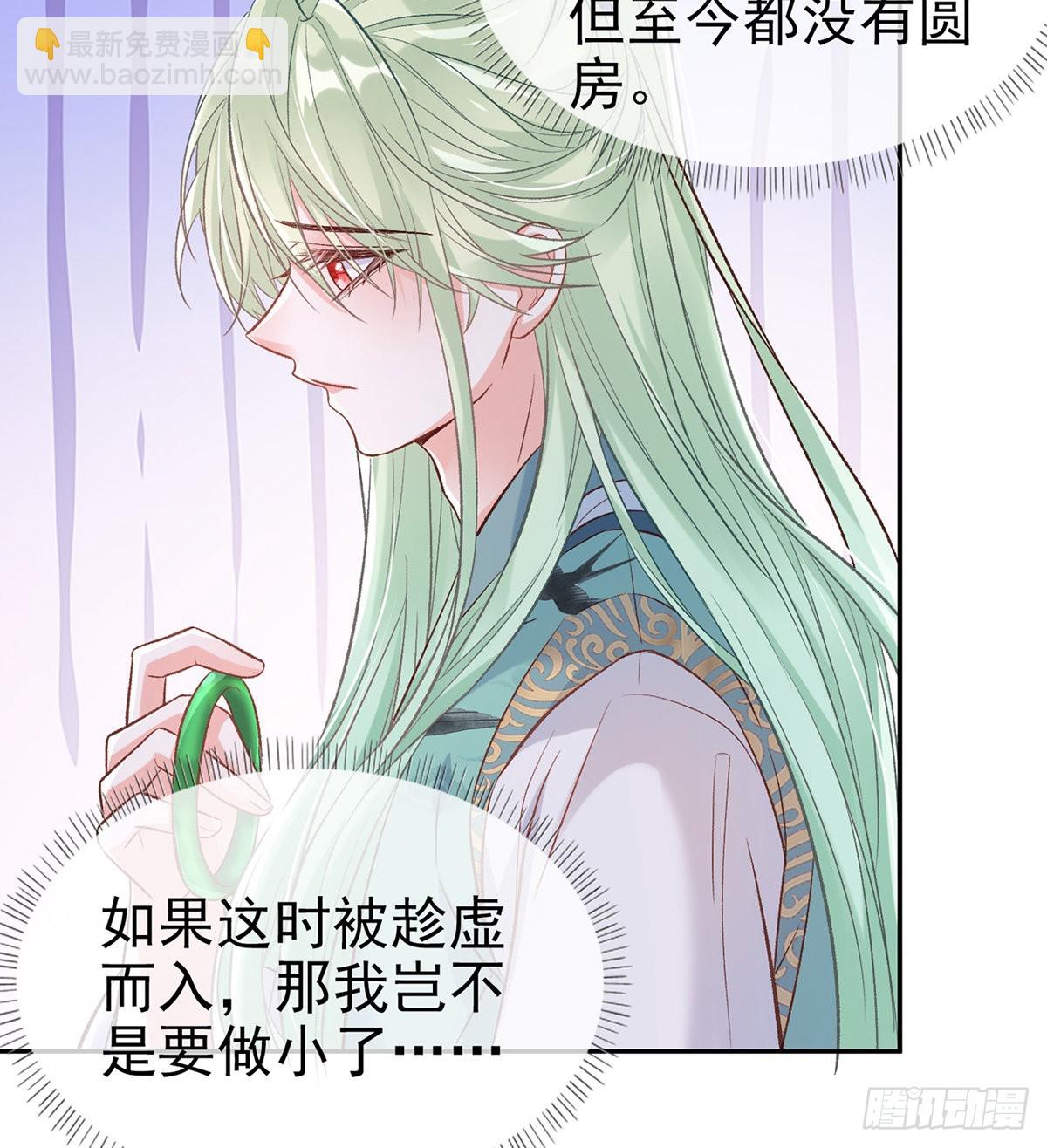 绿茶心计13