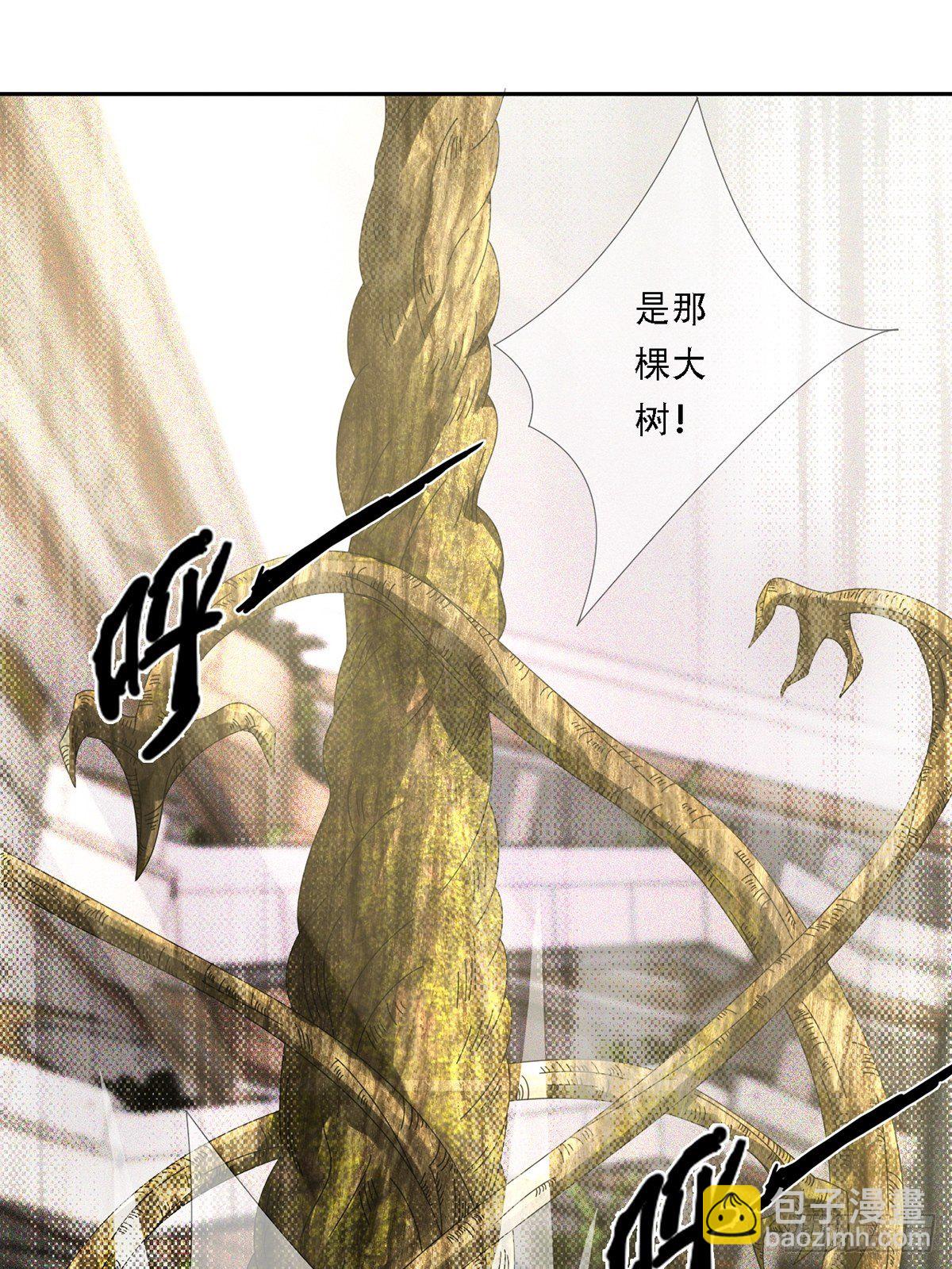 0023 签证6
