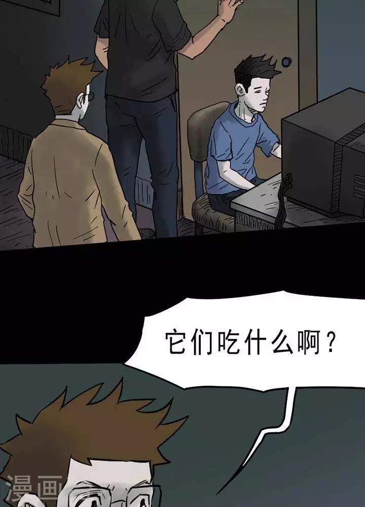 第51话17
