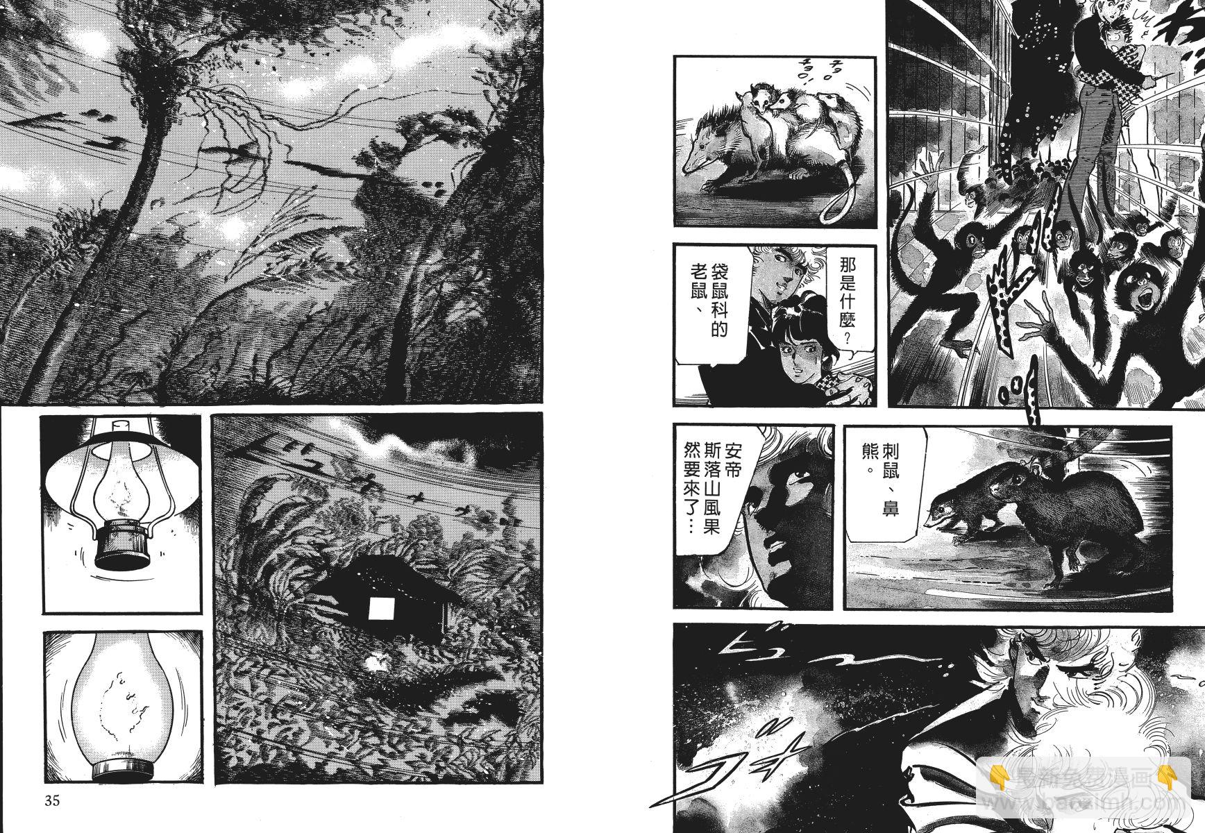 第04卷19