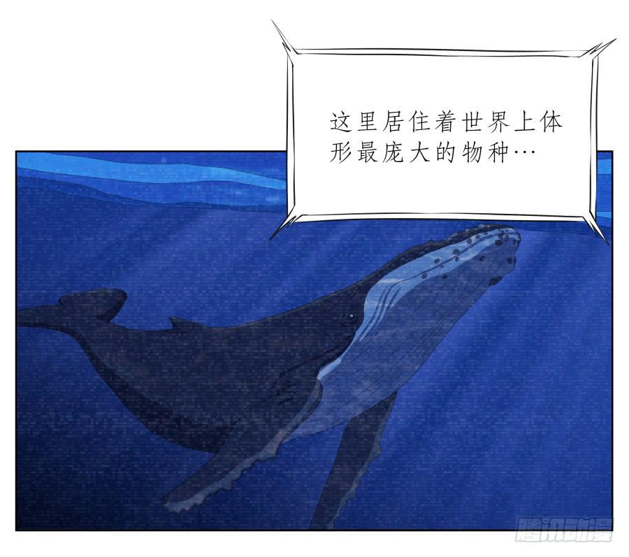 你说，我们的乐队要叫什么名字呢？40