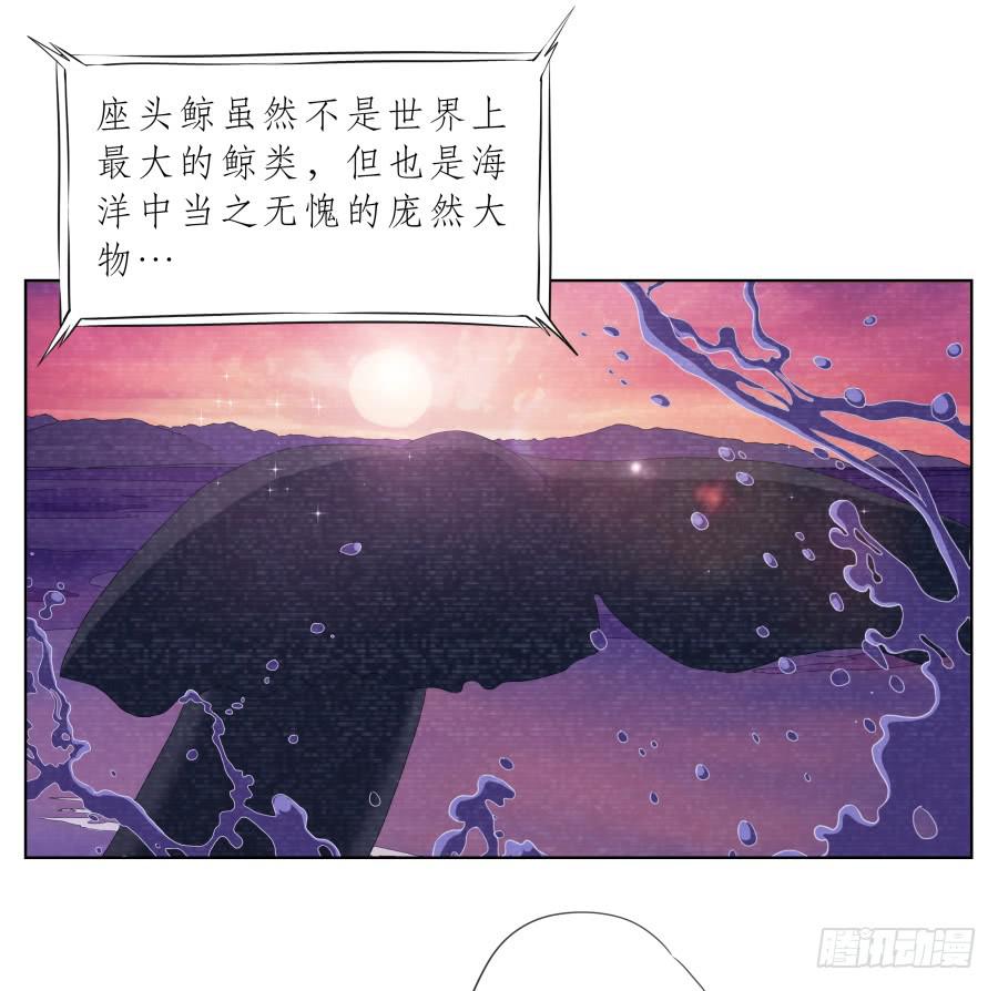 你说，我们的乐队要叫什么名字呢？41