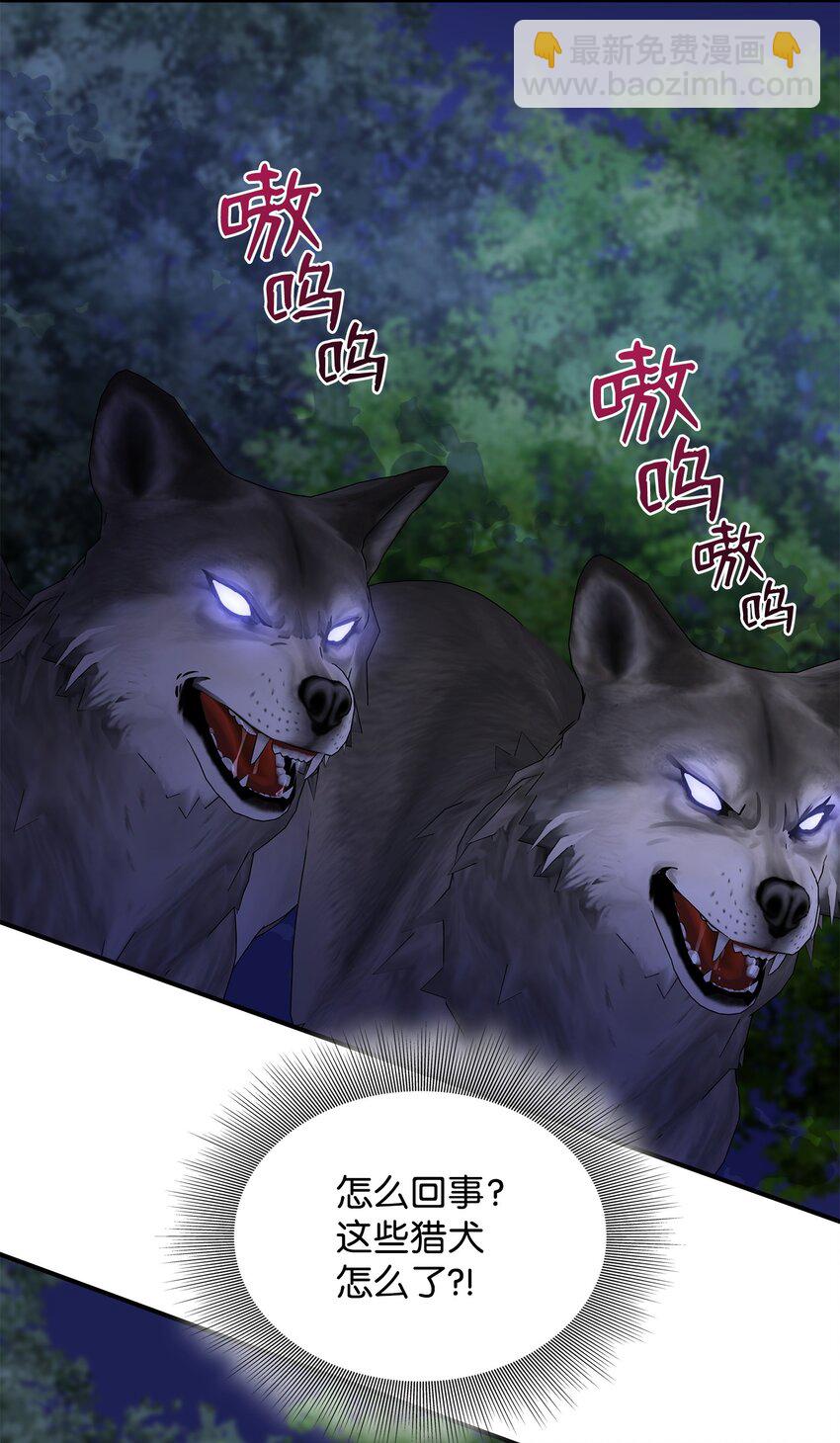 63 疯狂的猎犬79