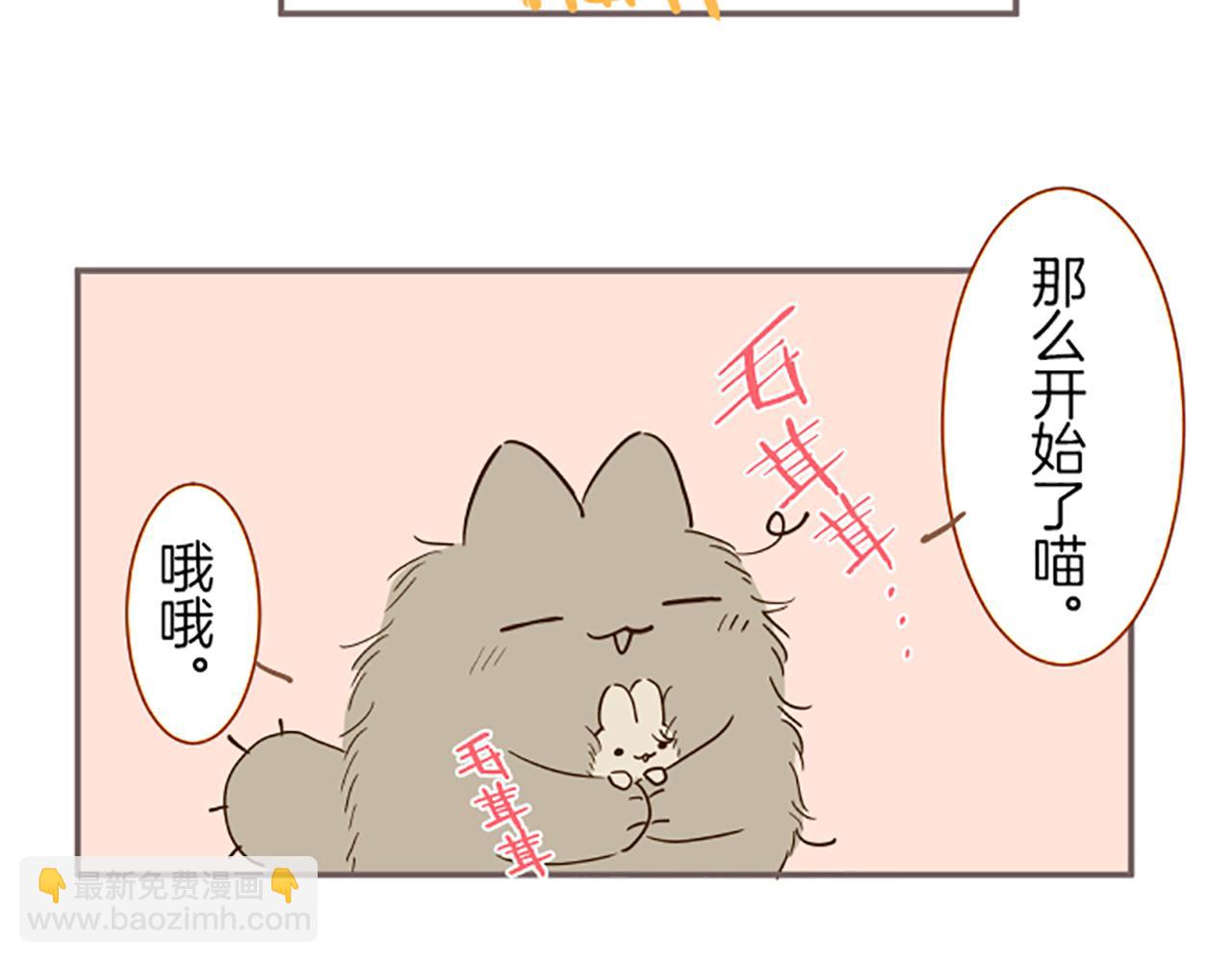 番外篇 普卡的报告9
