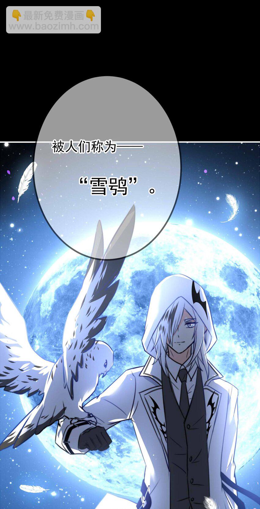 1 大盗“雪鸮”16