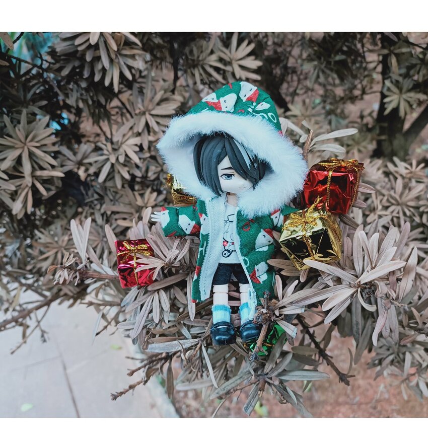 83 白（二）55