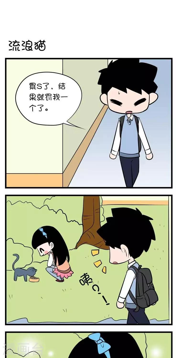 第13话  流浪猫0