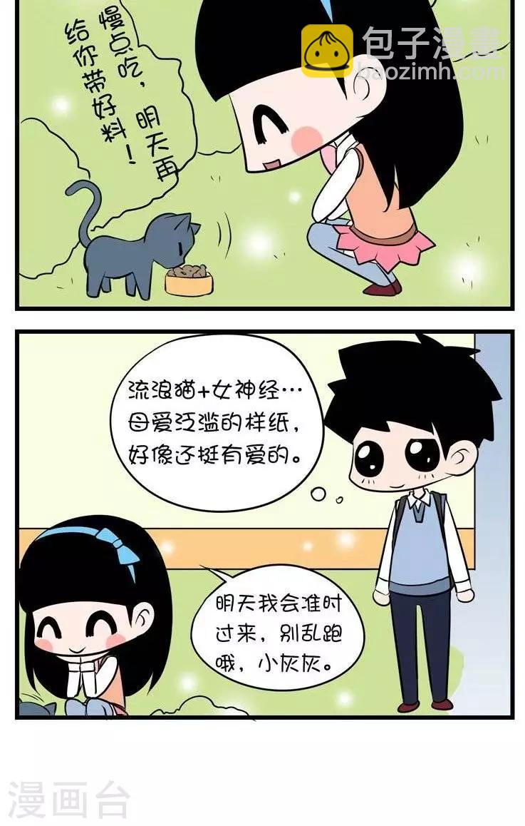 第13话  流浪猫1
