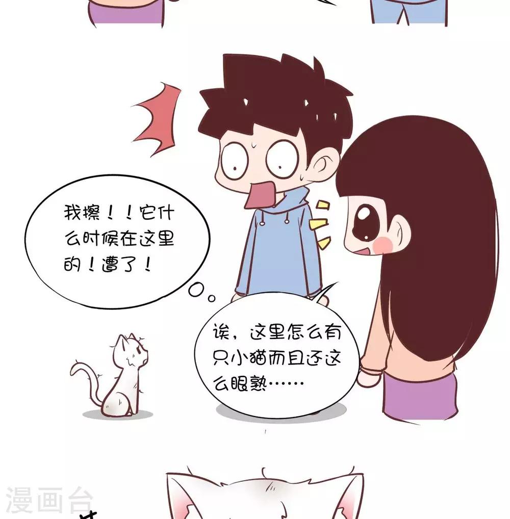 第55话   寄养小猫21