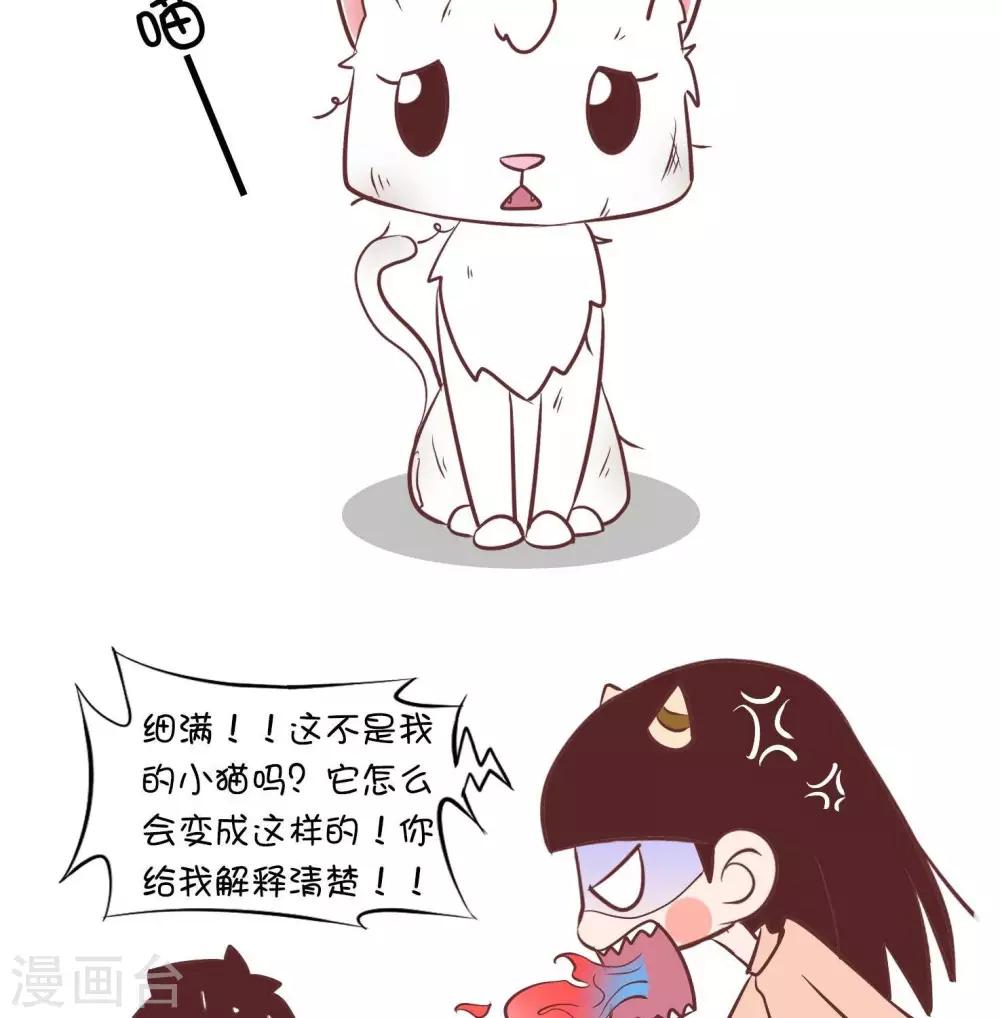 第55话   寄养小猫22