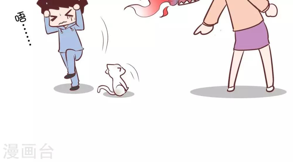 第55话   寄养小猫23