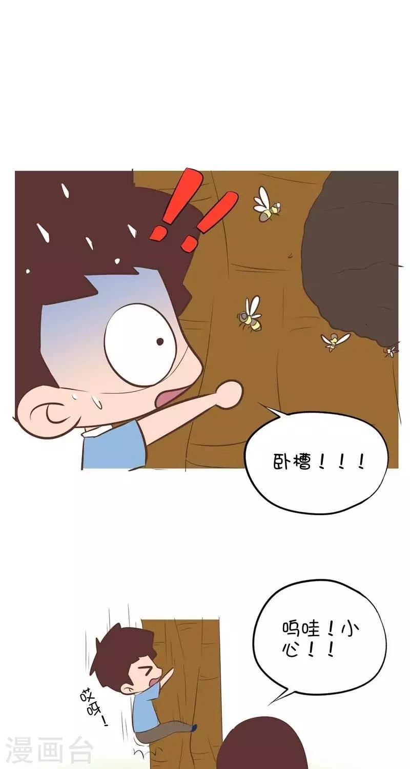 第91话  爬果树20
