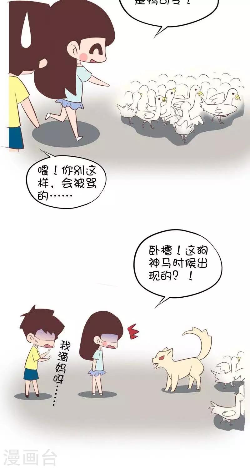第92话  赶鸭子1