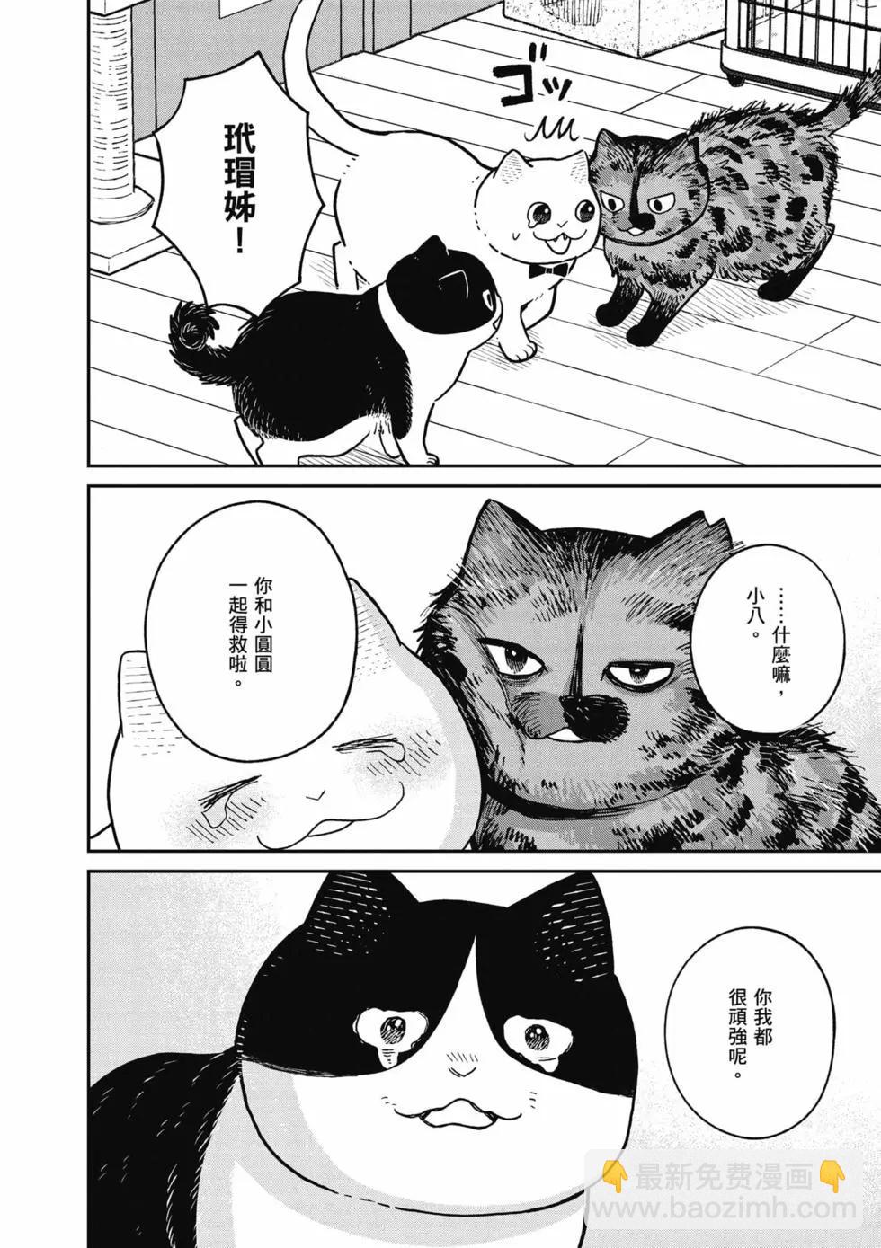 第02卷146