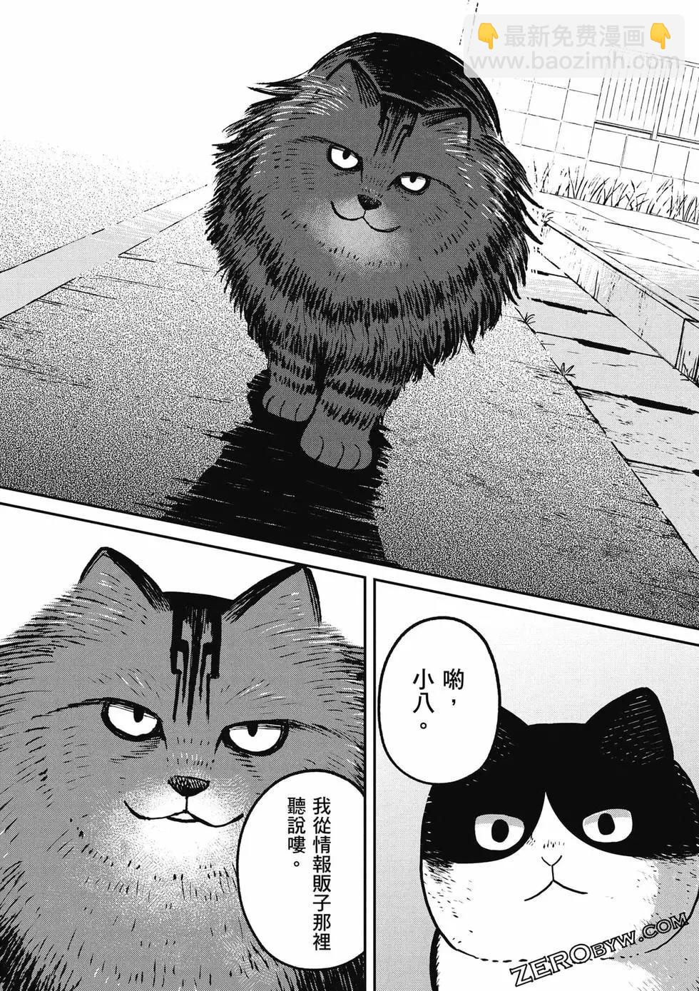 第02卷34