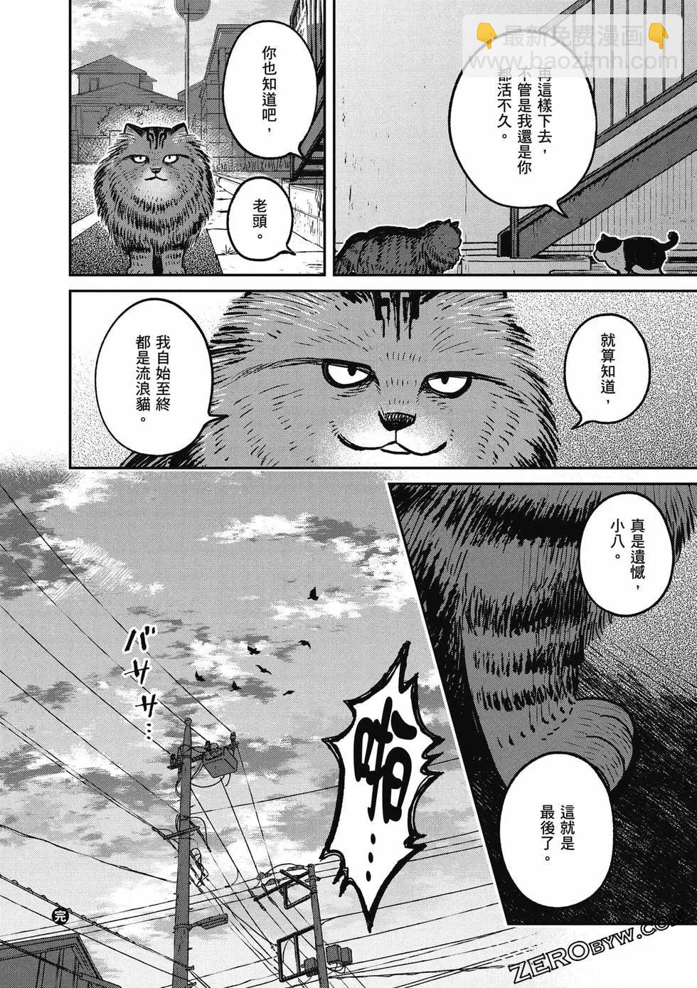第02卷36