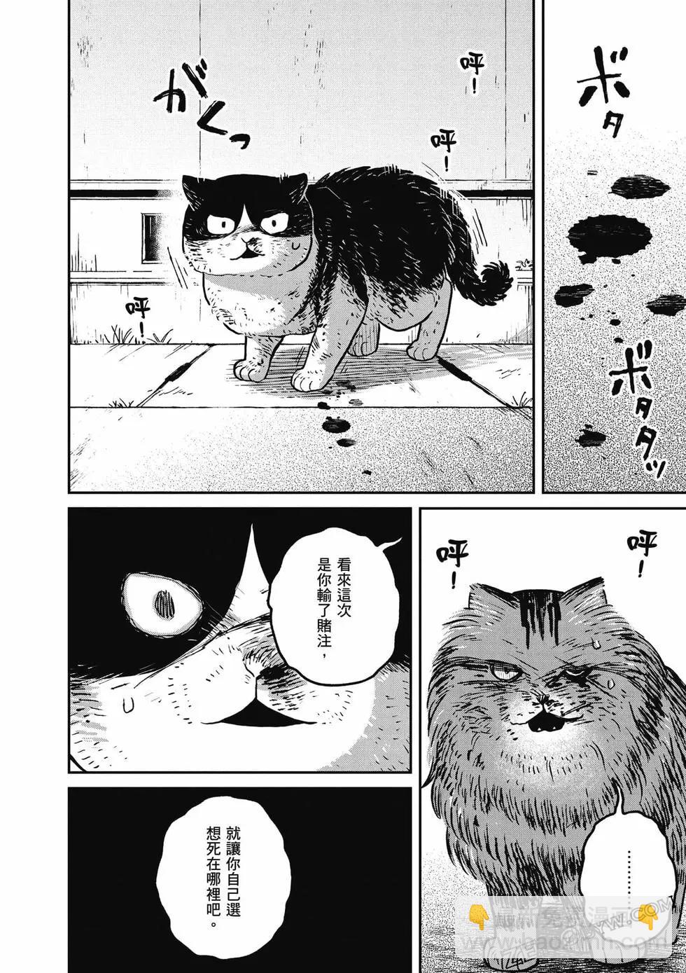 第02卷38