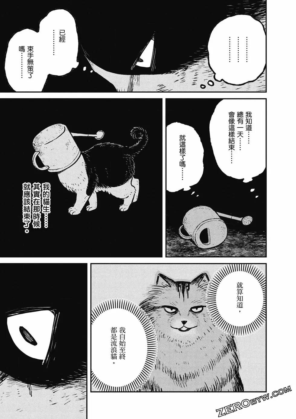 第02卷41