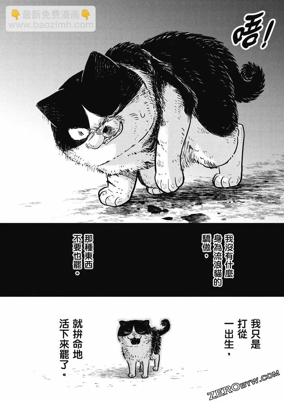第02卷42