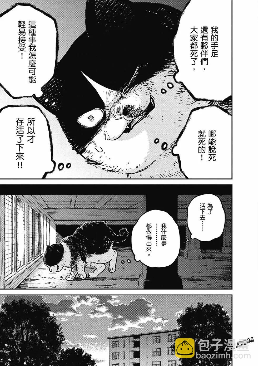 第02卷43