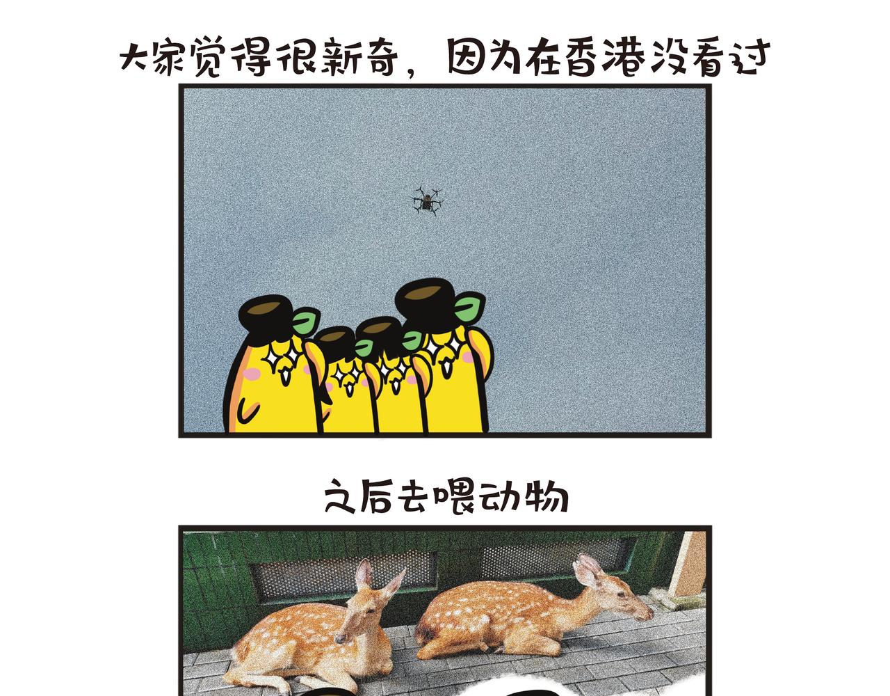 深圳世界之窗12