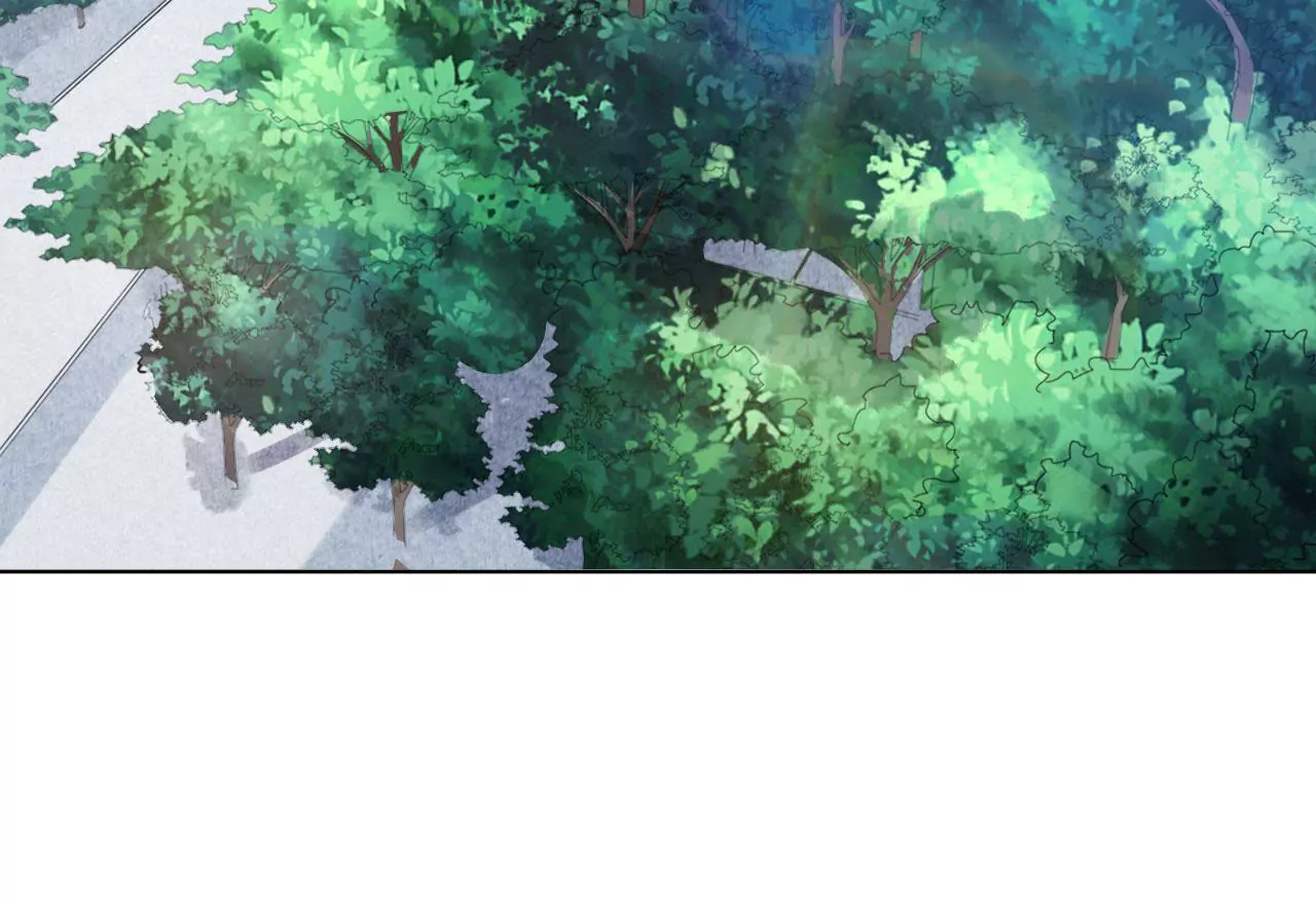 第66话 沙哈节5
