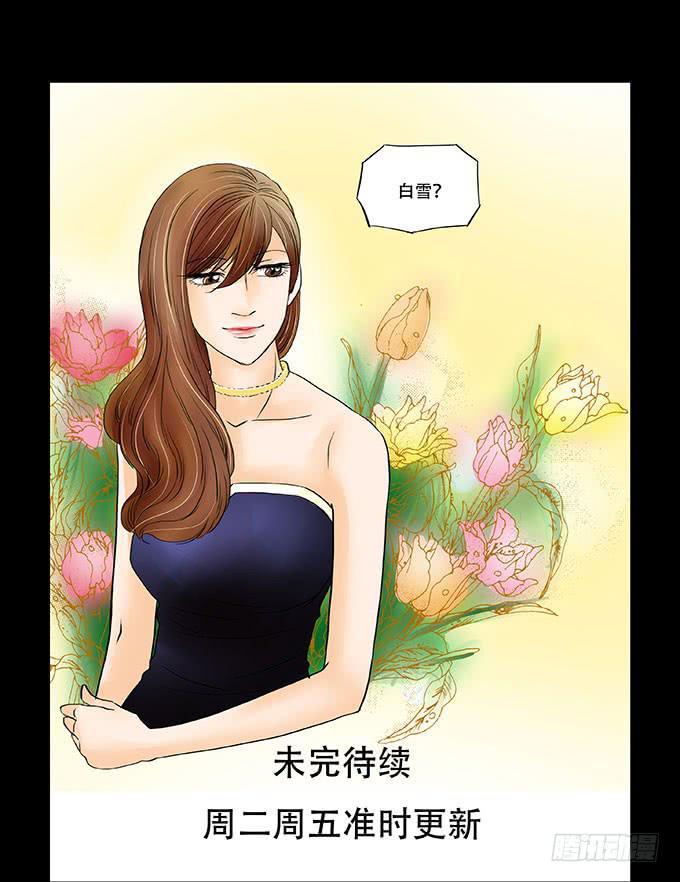 027:华丽29