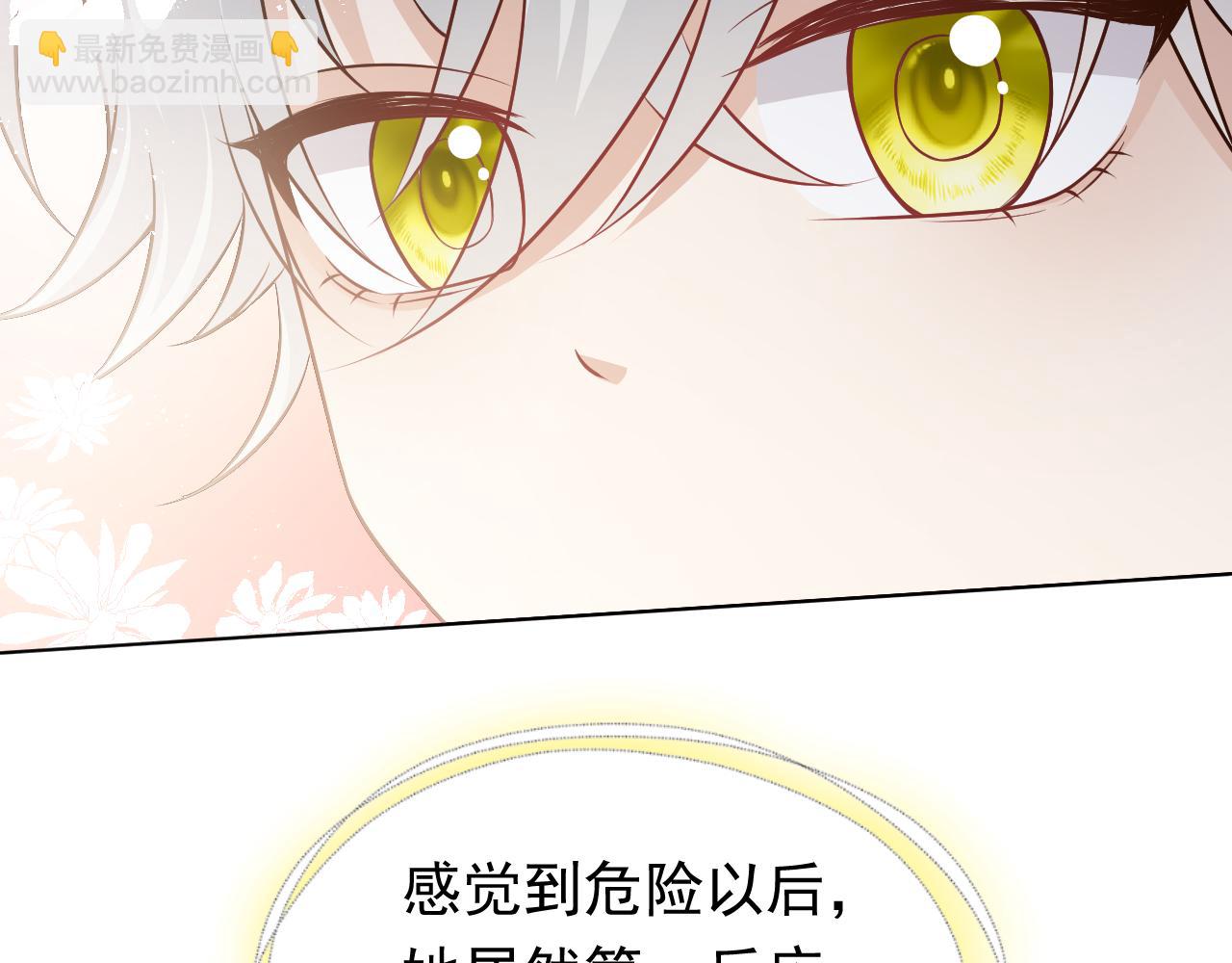 第77话 墙内的秘密27