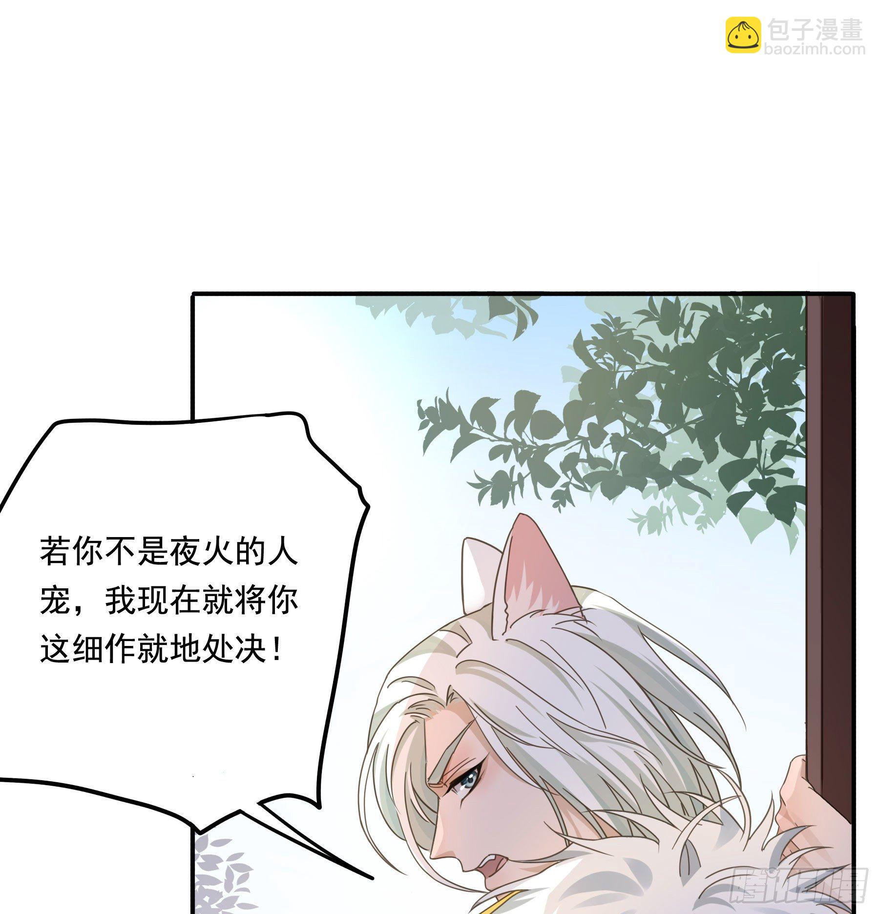 “前夫”上阵索妻6