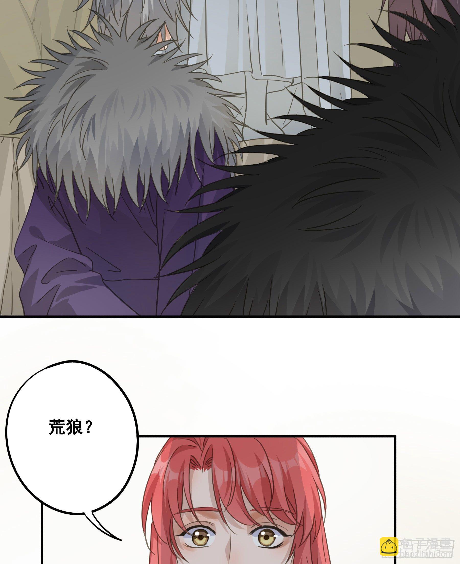 荒狼传说4