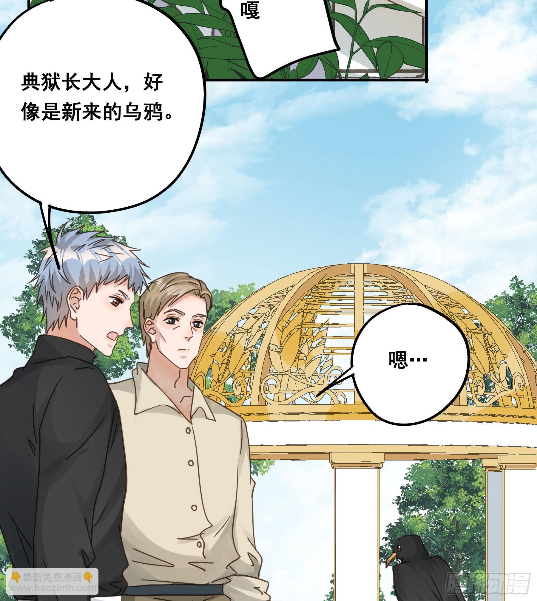 软肋31