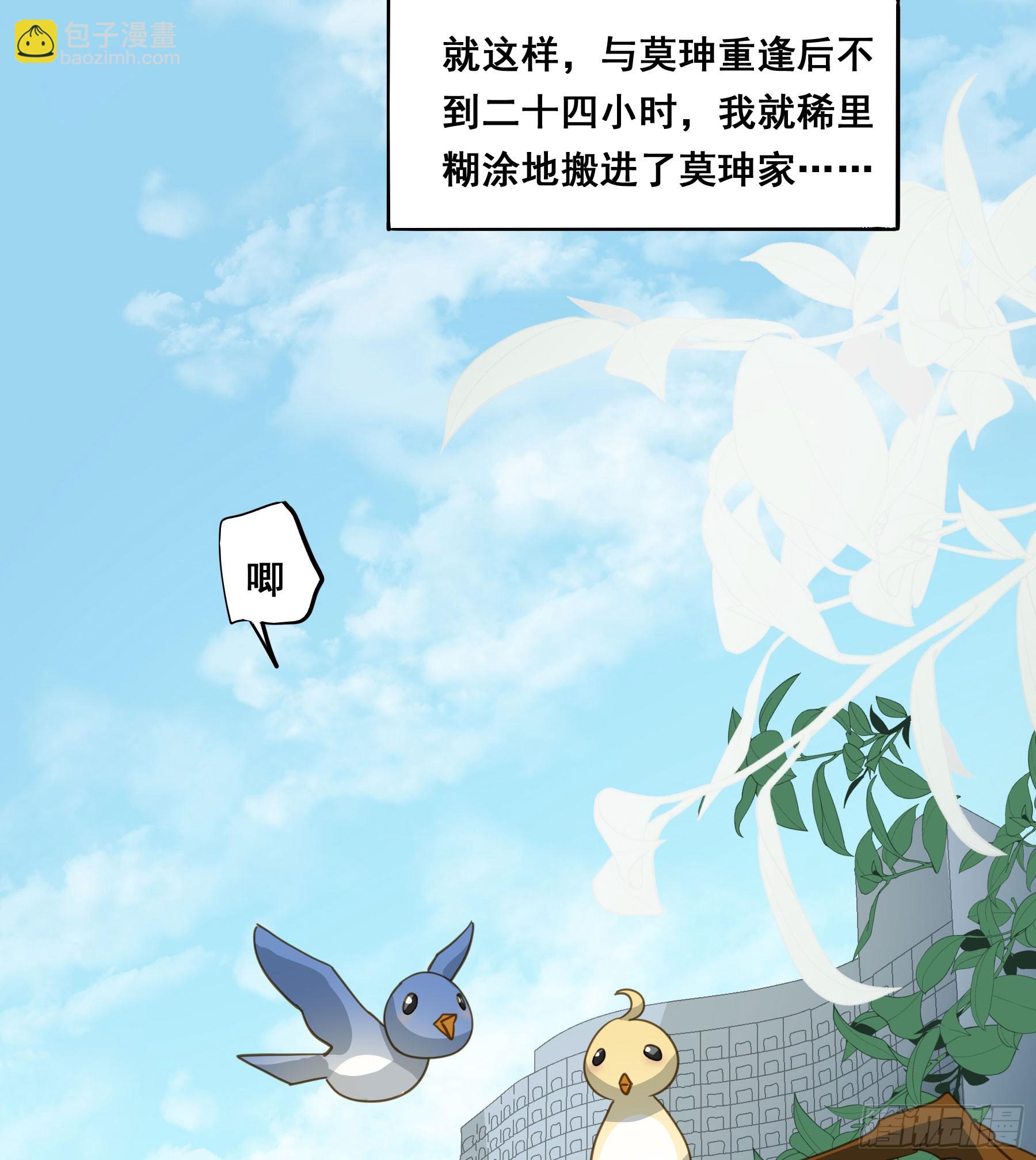 套路36