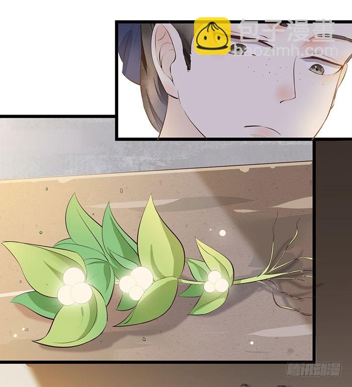 第005话 出售灵草21